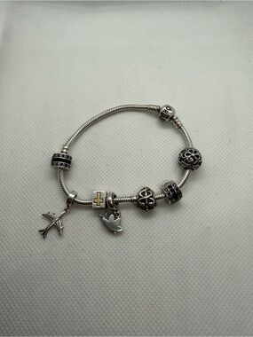 Pandora Bracelet with 7 Charms